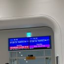 주식회사하이앤드 | 완벽하지 않아도 행복했던 혜롱자매 도쿄여행 기록