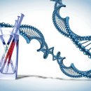 제노바이오 이미지