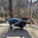 바우스쿨 네이버블로그