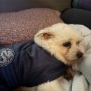 부영 노래연습장 이미지