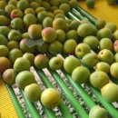 한울농장 이미지