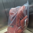 아너스빌 세탁 이미지