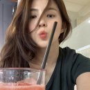 소담 이미지
