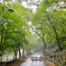 성주산 자연휴양림 대형주차장 | 보령 성주산 자연휴양림 어린이 물놀이장 편백나무 숲 가볼 만한 곳