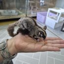 마리앤쥬 이미지