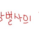 황화호연 이미지