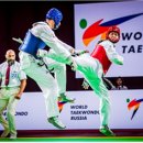 비상태권도 이미지