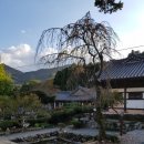 [순천여행.4]순천선암사(순천시 승주읍 죽학리802)태고종 유네스코세계문화유산