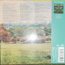 소리-Bright  이미지