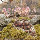 소월공인중개사사무소 이미지