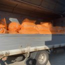 (주)디오 이미지