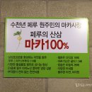 용인산삼