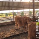 늘찬목장 이미지