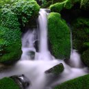 장전 숨 이미지