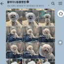 율하 다나동물병원 이미지