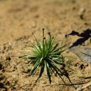 곡정초등학교 이미지