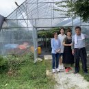 정의선농장 이미지