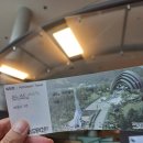 고성공룡박물관야영장 | [박물관] 어른이들끼리 고성공룡박물관 방문 후기