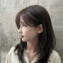 삼양미용실 이미지