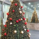 YS농장 | 살아있는 인간은 물 밖에서 호흡을 해야한다는 그런 식상한 이유만으로