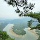 연하엽구름다리 이미지