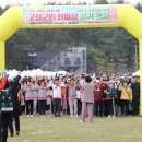 남포항 다목적광장 이미지