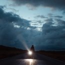 숲속의 오케스트라 이미지