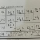 린바디짐