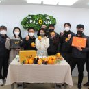 법인산지유통