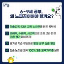 노피곰 네이버블로그
