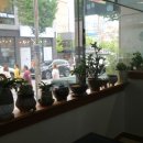 오동동043 이미지