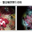 꽃게마을 이미지