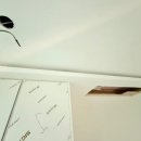 서초힐스 이미지