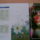 동안구청-7 이미지