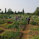 상록 농장 이미지