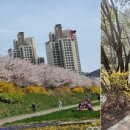 충훈터널 입구 이미지