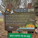 황새가족과 황새알 | 충남 예산 여행 덕산온천 족욕장 메타세쿼이아길 벽화거리 수덕사 사찰까지