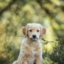 엔노블 | 성혼 여정 (6) : 결혼정보회사 후기 마지막 편, 예랑이 소개와 자주 받은 질문 총정리 | 엔노블 후기 ❤️