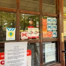 르노삼성자동차(월드프라자) 앞 횡단보도 | 오아시스 내한공연 Oasis Live '25 SOUTH KOREA 후기 / 보재기손두부 / 오송역 드롭탑 주차 / 포폴로피자