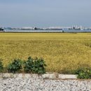 와룡리마을길 이미지