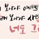 자세히 보아야 예쁘다 이미지