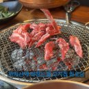 고기팔아요 | [까치산역] 야장느낌 숯불구이 고기집 화로당 후기