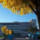 춘천경찰서 이미지