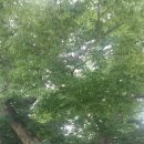 수덕펜션 이미지