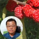 이성재농장 이미지