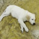 까페 개정촌 이미지