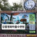 영화마을 | 강릉수련원 강릉엠티 강릉영화마을수련원 자연 속 힐링 후기