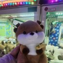 달인 뽑기를 만나다 이미지