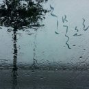 캘리그라피(저녁) 이미지