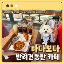 바다보다 | [공지] 강화도 애견동반카페 바다보다 솔직후기, 애견운동장도 있는 곳